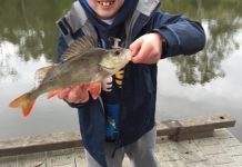 Anglers get a break to chase tuna