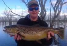 Squid, gummies and snapper bite in bays