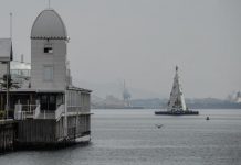 Christmas tree costs more, but we’re worth it