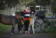 Indoor titles just horseplay for Batesford equestrian