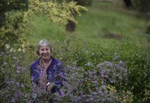 Show runs on flower power