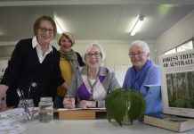 Botanical art meets plant science