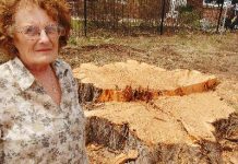 National park trail rider threat