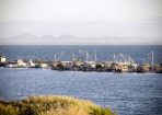 portarlington harbour