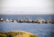 Portarlington harbour project tender call