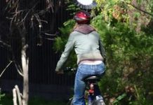 Magpies begin swoops across city