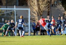 Fall from top level of NPL