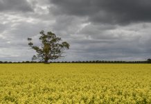 Storages lower after dry September