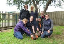 New direction for GAWS