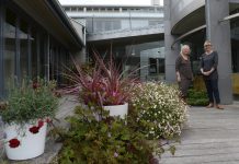 Queenscliff gardens open to public