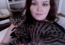 Pet cat survives being shot in eye with arrow