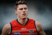 Ex-steeplechaser wins Geelong Cats best-and-fairest