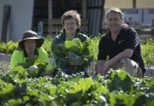 $1.3m ‘farm’ at Leopold to train jobless, disabled