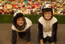 Museum raises the baa with flock