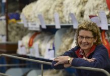 Geelong show begins with attractions old and new