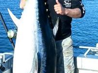 Massive tuna ‘offering huge financial return’