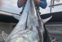 King for a day in our big tuna run