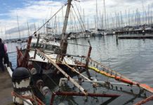 Family business at risk as fishing trawler sinks on bayfront