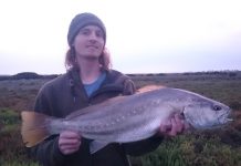 Mulloway take a bite