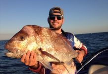 Pair boat 33 fish in frantic session