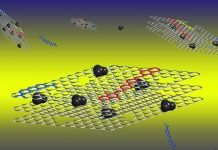 Oil spill clean up invention by Deakin scientists