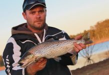 Flatties and pike in shelter of bay