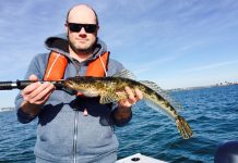 Bay’s serving up Christmas lunch