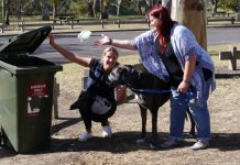 Any bin for scooped poop