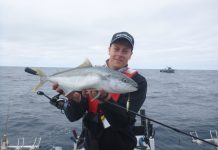 Kingfish and whiting lead big variety of species on chew for hot sessions