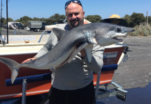 Kingfish prove bit of a challenge