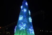 Floating tree leads $15.6m Christmas windfall for Geelong