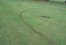 Hoons strike at golf club