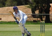 Cats routed after run of wins