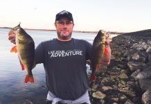 Bay provides pinky promise