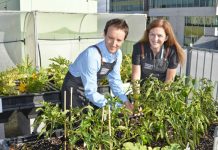 Garden competition raised the roof