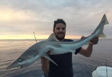 Snapper in the Springs