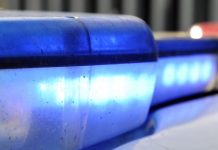 MP warns of criminal culture