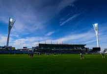 Revealed: the people who will control Kardinia Park