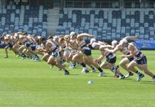 Veterans to make a show