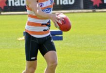 Cats pre-season purr