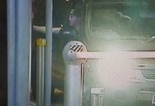 City’s crime spate