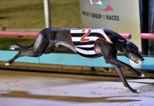 Surprise departure for $1 million mover