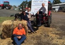 Festival gathers up fruits of the soil