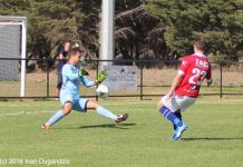 Warriors elbow for promotion space