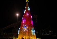 Floating tree threat abandoned