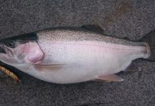 Big catch in great weather