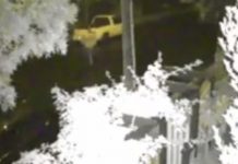 Hunt for pair after arson attack