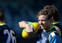 Cats wary of Power surge