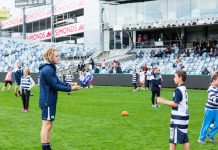 Wary Cats eye percentage