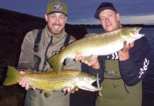 Whiting abounds around coast